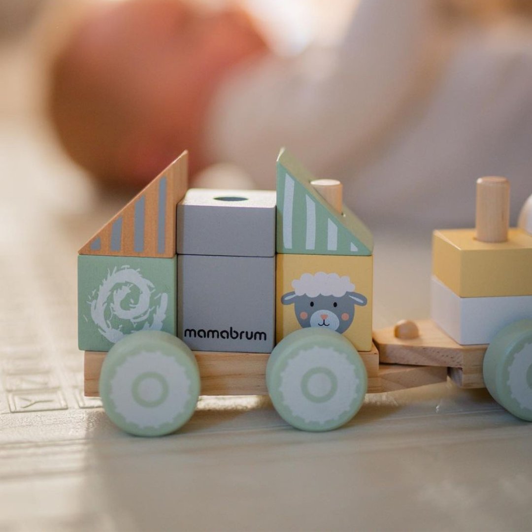 Trætog med klodser til en dreng - Farm