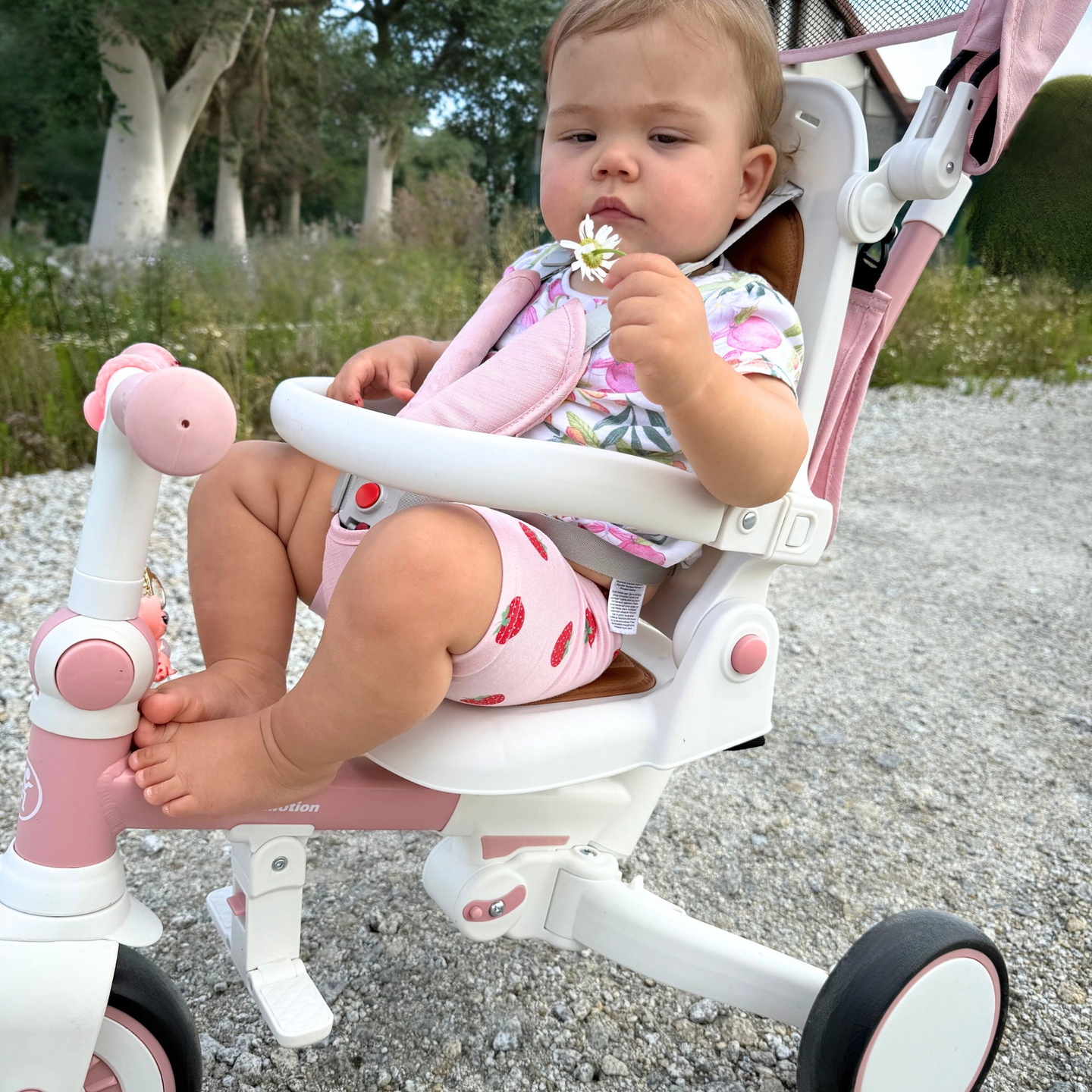 8-i-1 multifunktionel trehjulet cykel TOBI FOREST - pink