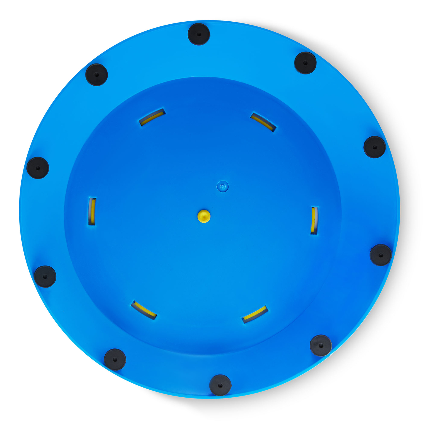 Sansesti til børn - Farverig skildpadde