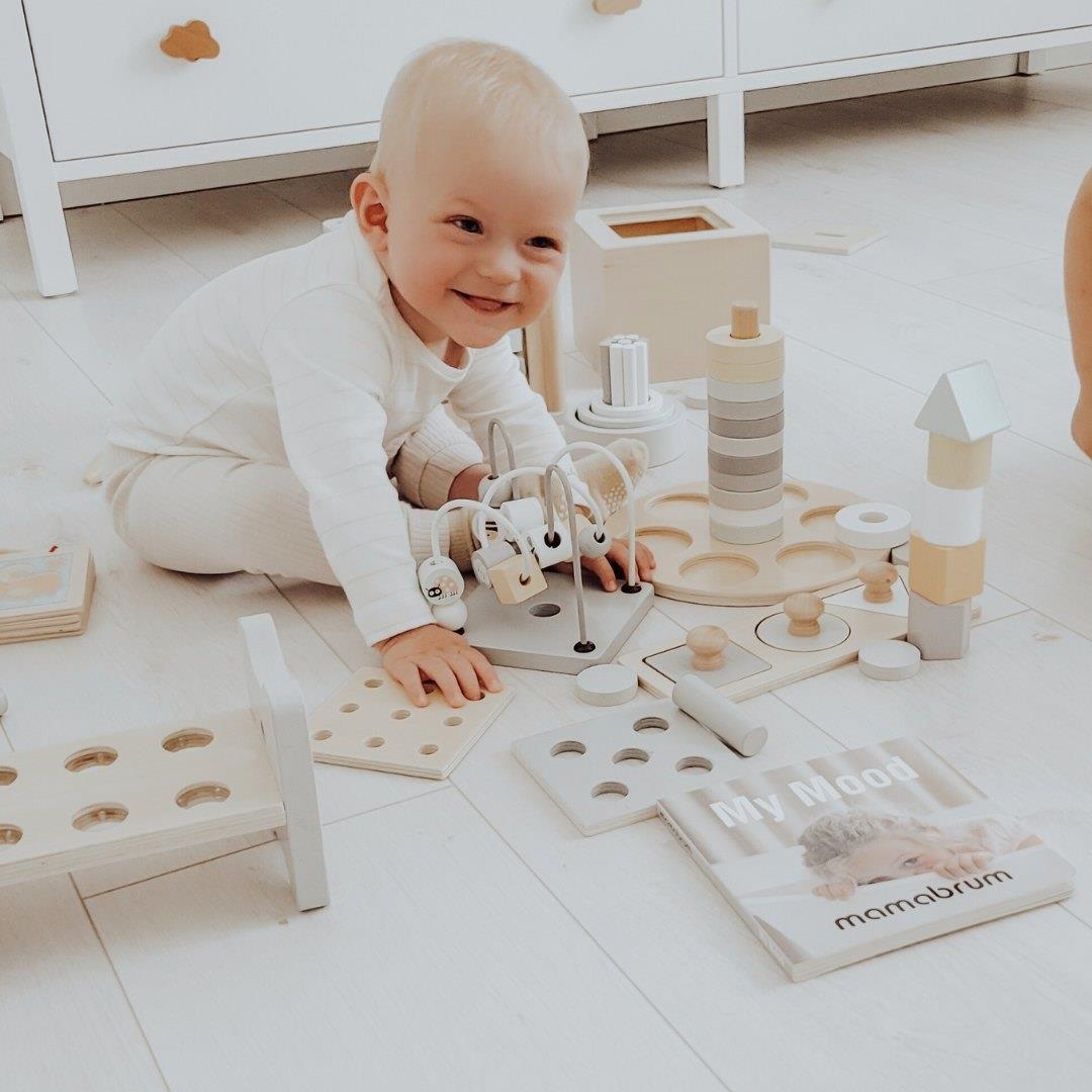 Montessori pædagogisk æske til små børn - 6 legetøj