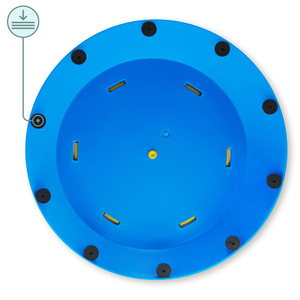 Sansesti til børn - Farverig skildpadde